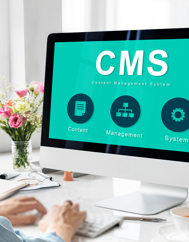 Custom CMS Development