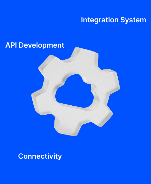 ERP Integration Services