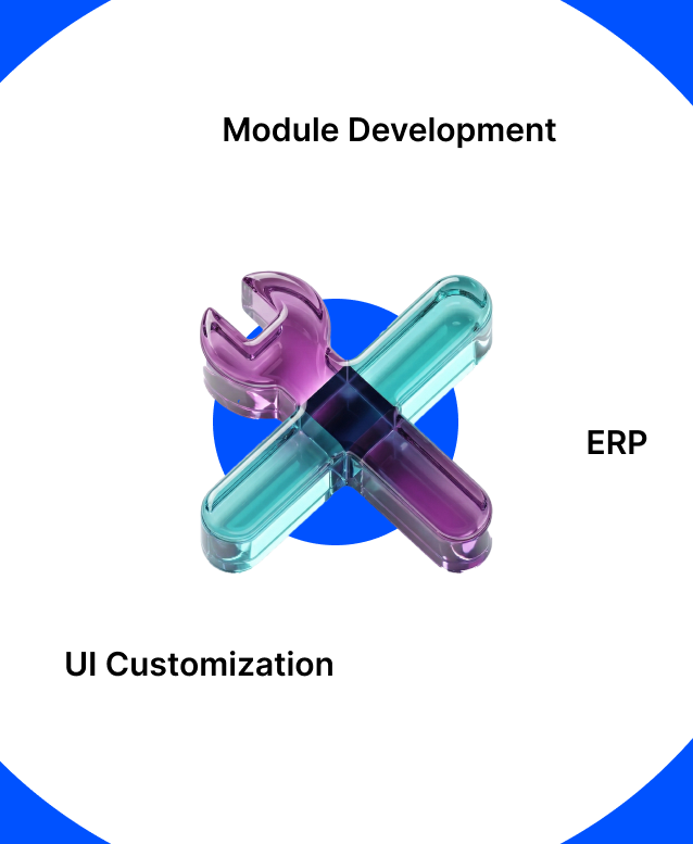 ERP Customization & Module Development